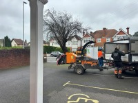 Parkstone Dental's Landmark Tree 1